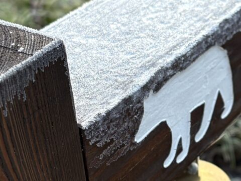 上高地 クマベルにおりた霜