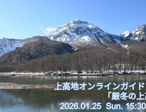 上高地オンラインガイドツアー【冬期】2025年度開催決定！