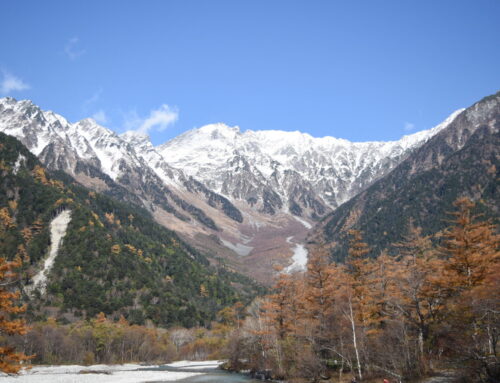 写真で振り返る上高地！旅行計画に役立つ見どころ情報【2025最新】