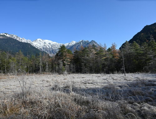 上高地ってどれくらい寒いの？気温と服装アドバイス