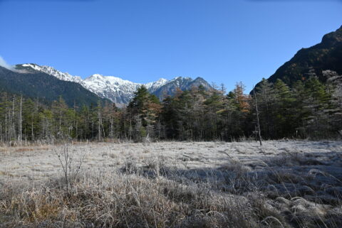 上高地　田代湿原の霜