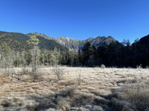 上高地　田代湿原の霜