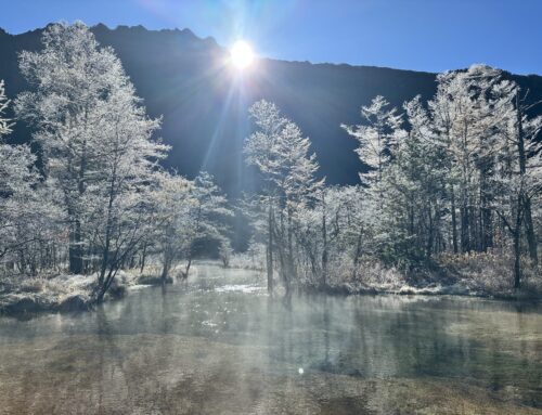 【2025シーズン終了間近】11月の風物詩｜上高地の樹霜をご紹介！