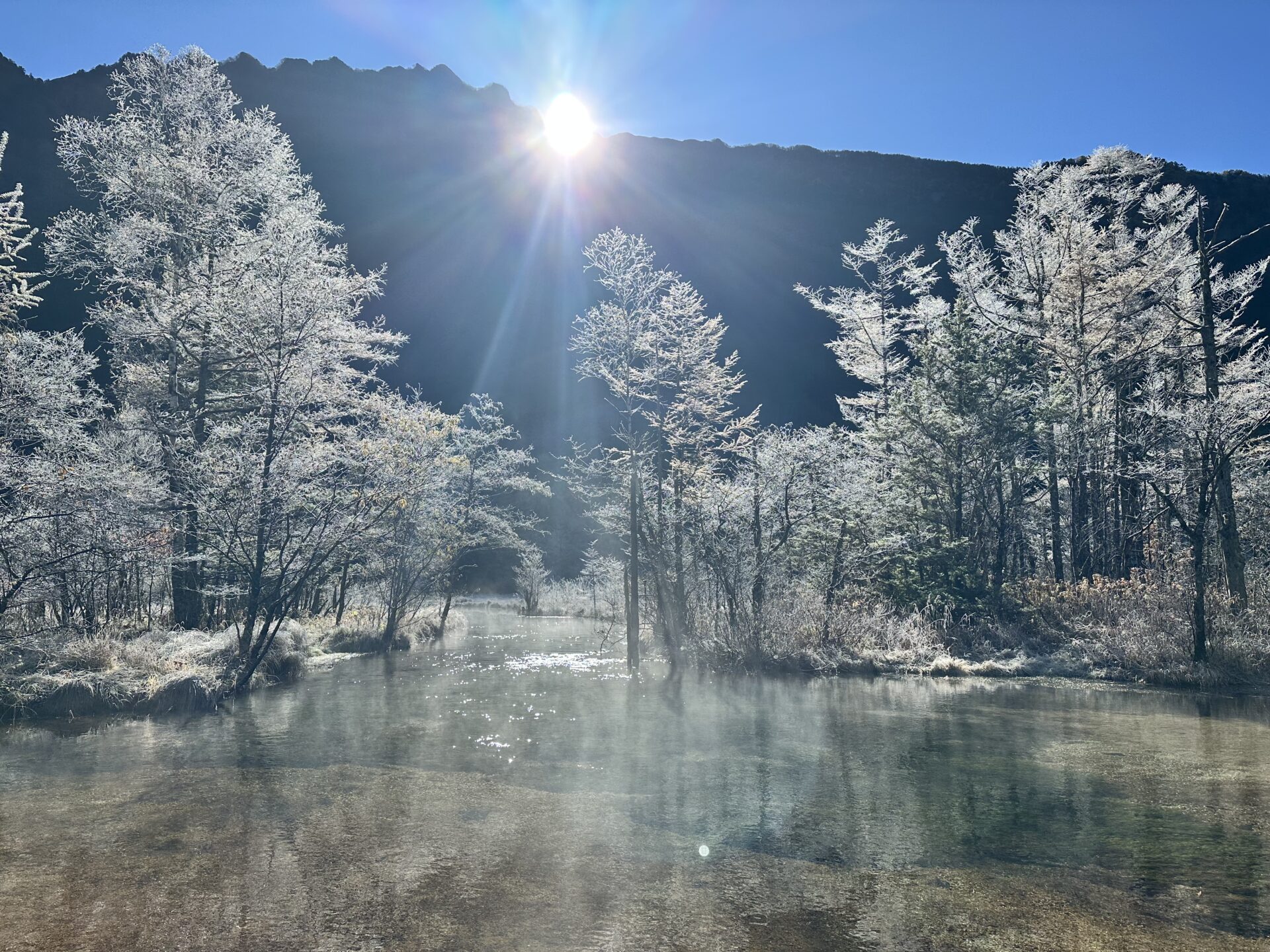 上高地　田代池の樹霜