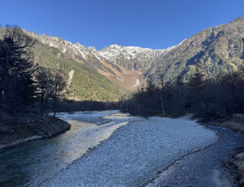 【冬の上高地】閉鎖後の上高地の様子【2025年11月17日】