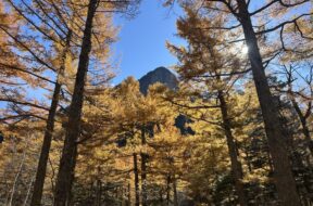 【2026秋】上高地の紅葉・黄葉｜例年の見頃と服装・散策のコツ