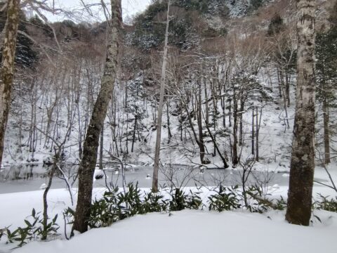 雪に覆われた冬の上高地