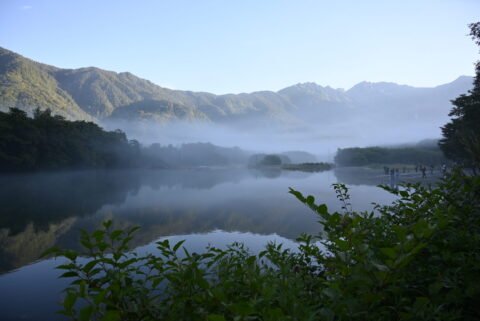 大正池の朝もや