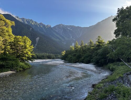 2026年、新年のご挨拶を申し上げます