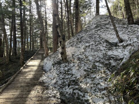 4月の上高地の遊歩道の残雪