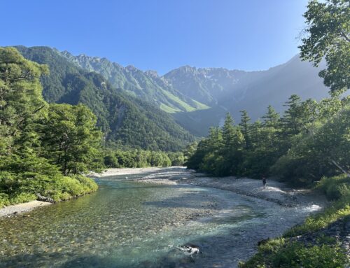 【2025年上高地】4月〜7月を絶景写真で振り返る