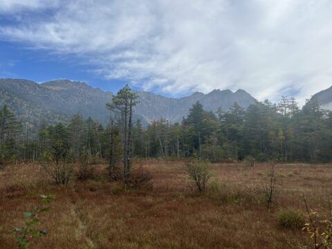 10月13日 田代湿原の草紅葉