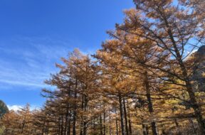 【2025年上高地】8月〜11月を絶景写真で振り返る