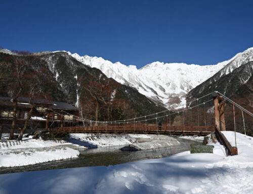 【最新情報】1月の上高地の風景＆間もなく冬期イベント開催！