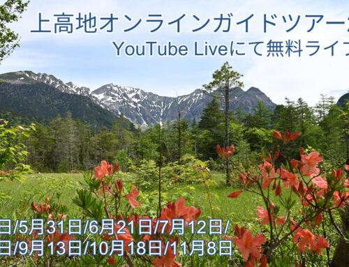 上高地オンラインガイドツアー2026配信決定！＆2025年総集編は3月22日配信