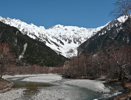 この春訪れたい、4月の上高地開山情報と見どころ【2026年最新】