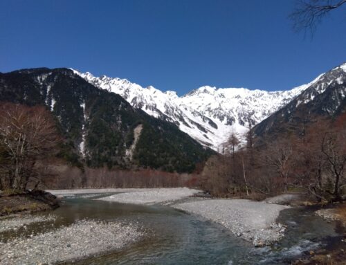 ガイドが見た上高地の2025年