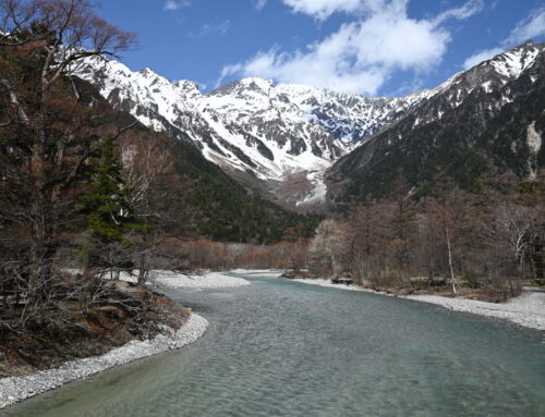 開山前の上高地｜明神エリアの雪の様子をお届けします