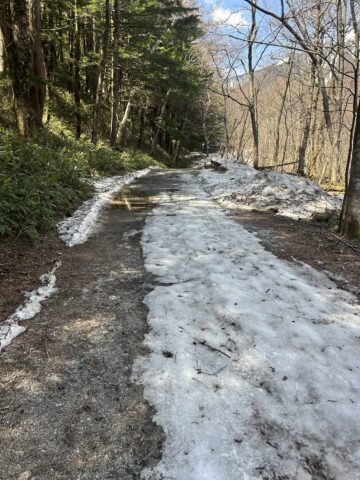 明神方面の遊歩道