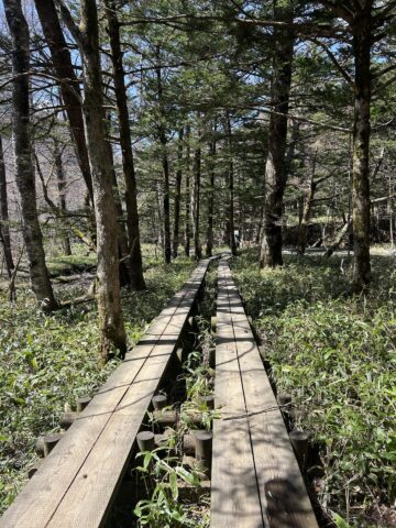 梓川右岸遊歩道