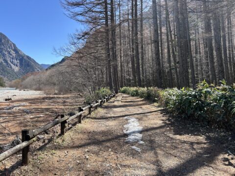 大正池方面の遊歩道