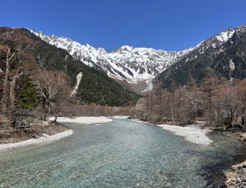 開山前の上高地｜大正池方面の様子をお届けします