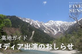 ラジオ出演情報「ムーミン谷からの手紙 2026」