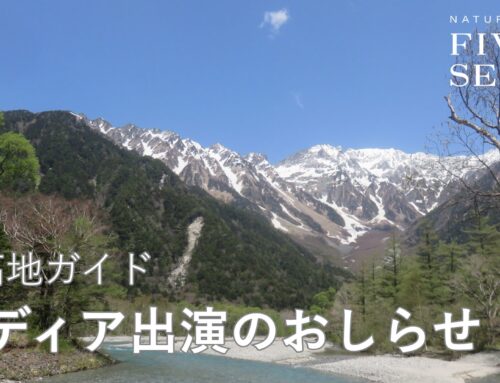 ラジオ出演情報「ムーミン谷からの手紙 2026」