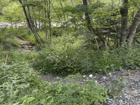 右岸道梓川沿い