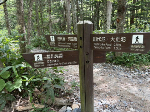 上高地　梓川コースの看板　梓川に出られる行き止まり
