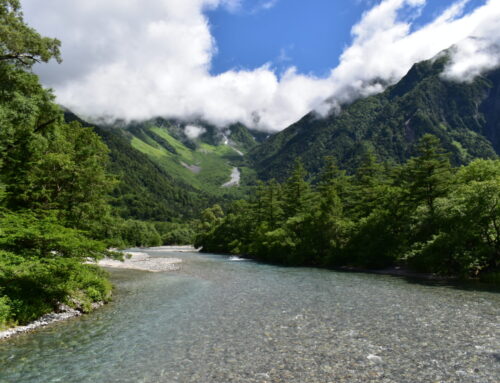 【夏の上高地】河童橋周辺の涼しいスポット3選｜徒歩で行ける清水川・風穴・小梨平