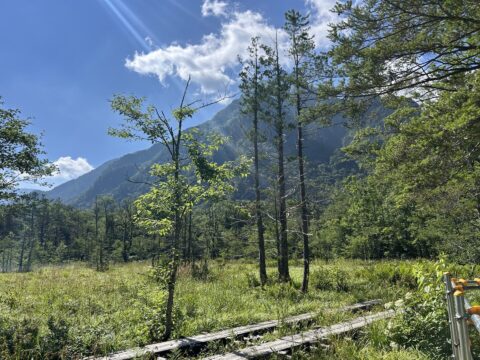 岳沢湿原と木道
