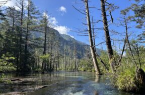 上高地・岳沢湿原への行き方｜河童橋から徒歩15分の絶景スポット
