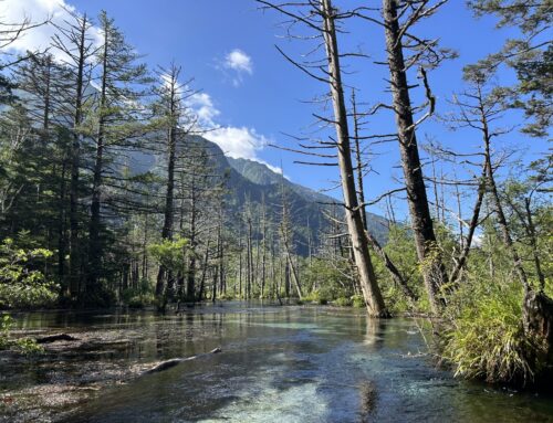 上高地・岳沢湿原への行き方｜河童橋から徒歩15分の絶景スポット