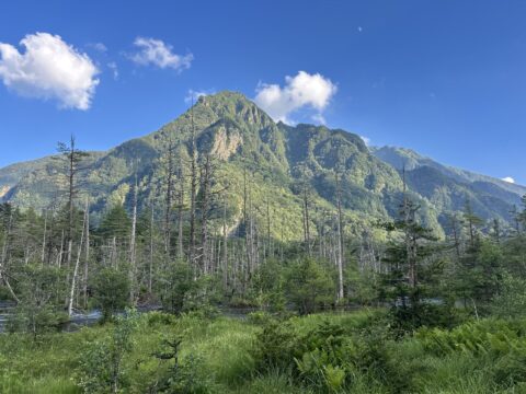 岳沢湿原と六百山