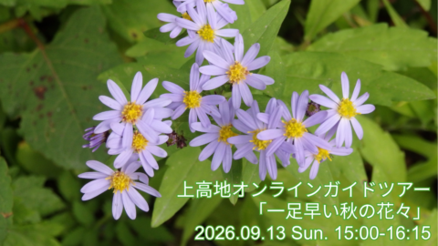 オンラインガイド9月分 サムネイル