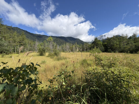 9月の田代湿原