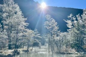 11月の上高地で楽しむ樹霜｜田代池のおすすめ時間帯と早朝の防寒対策