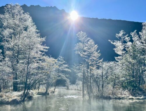 11月の上高地で楽しむ樹霜｜田代池のおすすめ時間帯と早朝の防寒対策