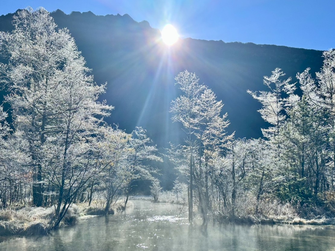 2026年10月30日の田代池の樹霜と太陽