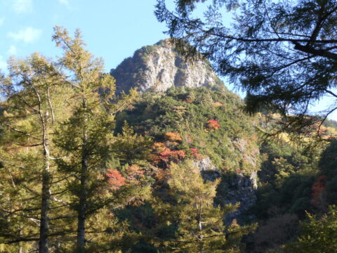 上高地から見る六百山の黄葉